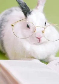 穿进色色剧本的宅男、被玩弄于股掌之中~（快穿高H）