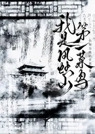 我是风烛山第一菜鸟（NP）
