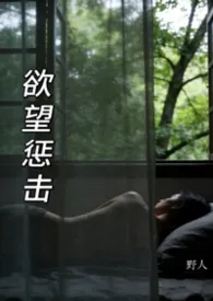 欲望惩击（h各种短篇系列）