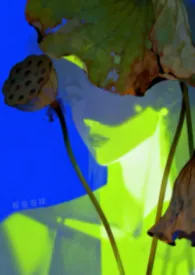 邪教（NPH/强制爱）