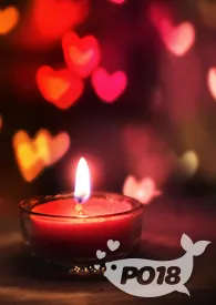 乙女大巴车（nph）