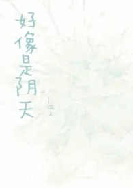 好像是阴天