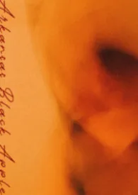 阿肯色黑苹果np