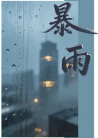 暴雨（1v1）