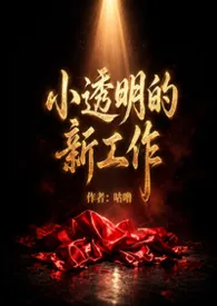 小透明的新工作（职场NP）