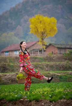山村艳奴录